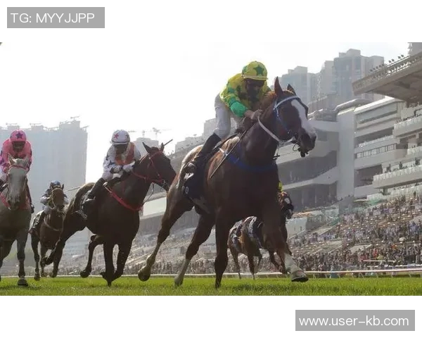 巴西连线即将落幕各方关注终章揭晓的关键时刻